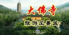 大吊入穴视频中国浙江-新昌大佛寺旅游风景区